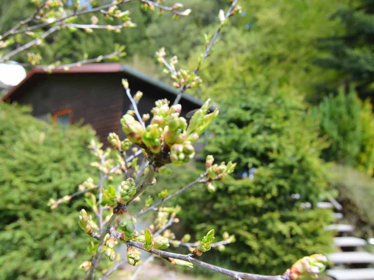 Holiday Home With Terrace Stadlern Luaran gambar